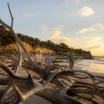 Things to Do on Amelia Island: A Practical Guide to Florida’s Quieter Coast
