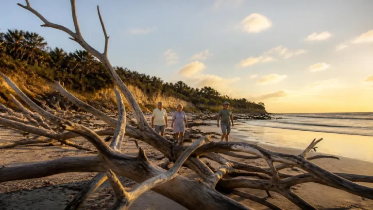 Things to Do on Amelia Island: A Practical Guide to Florida’s Quieter Coast